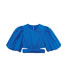 Fashion Blue Solid Color Puff Sleeve Top