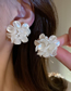 Fashion Flowers Acrylic Flower Earrings