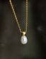 Fashion Gold Color Titanium Steel Gold Plated Pearl Necklace