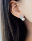 Fashion Silver Alloy Set Zirconium Flower Pearl Stud Earrings