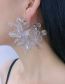 Fashion A Pair Transparent Crystal Flower Stud Earrings