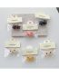 Fashion A Pack Of 2 Apricot Resin Diamond Flower Gripper