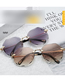 Fashion Lw [wine Red] Alloy Polygon Large Frame Sunglasses