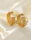 Fashion Gold Titanium Gold Plated Twist Braided C-hoop Earrings