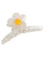 Fashion B Semicircle Flower Acetate Daisy Grab
