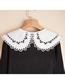 Fashion White Lace Lace Lace Embroidered Fake Collar
