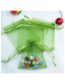 Fashion Snow Green (100 Batches For A Single Color) Organza Zipper Bag