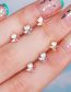 Fashion Pearl Brass Diamond Geometric Piercing Stud Earrings