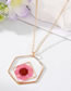 Fashion Pink Flower Necklace 5 Resin Geometric Dried Flowers Green Leaf Polygonal Necklace