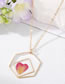 Fashion Pink Flower Necklace 5 Resin Geometric Dried Flowers Green Leaf Polygonal Necklace