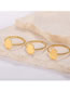 Fashion Golden 3 Stainless Steel Palm Twist Twist Ring