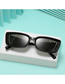 Fashion Douhua Frame Gray Slices Pc Frame Sunglasses