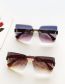 Fashion Grey Pink (mirror Case) Large Frameless Rimless Sunglasses