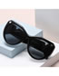Fashion Bright Black Grey Pc Cat Eye Large Frame Wide Leg Sunglasses