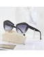 Fashion Transparent Gray On Black Double Gray Pc Cat Eye Large Frame Sunglasses