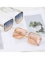 Fashion Gold Double Grey Pc Rimless Trimmed Large Frame Sunglasses
