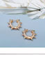 Fashion Gold Brass Gold Plated Zirconia Stud Round Earrings