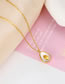 Fashion Gold Titanium Steel Gold Plated Shell Avocado Necklace
