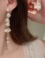 Fashion White Pearl Lily Of The Orchid Tassel Drop Earrings  Alloy
