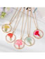 Fashion Rose Red Flowers Dried Flower Gold Foil Round Necklace