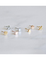 Fashion Round - Rose Gold Stainless Steel Square Round Stud Earrings