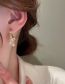 Fashion Pink Brass Set Zirconia Tassel Earrings