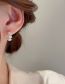Fashion Ear Buckles - Silver Copper Diamond Flower Round Earrings