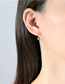 Fashion White Gold Metal Diamond Eye Stud Earrings