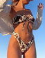 Fashion Brown Polyester Print Bandeau Lace-up Swimsuit