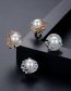 Fashion White Gold Copper Zirconium Shell Pearl Stud Earrings