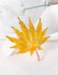 Fashion Yellow Alloy Geometric Maple Leaf Brooch