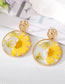 Fashion Yellow Half Circle Pearl Flower Alloy Geometric Dried Flower Round Stud Earrings
