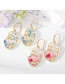 Fashion Blue Facebook Dried Flower Stud Earrings Alloy Face Dried Flower Stud Earrings