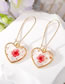 Fashion White Heart Earrings Alloy Dried Flower Gold Foil Heart Earrings