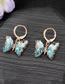 Fashion Sea ??blue Butterfly Earrings Geometric Zirconium Butterfly Crystal Earrings