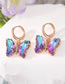 Fashion Light Purple Butterfly Earrings Geometric Zirconium Butterfly Crystal Earrings