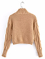 Fashion Brown Twist Pullover Knitted Sweater
