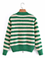 Fashion Green And White Stripes Striped Contrast Knit Sweater