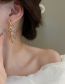 Fashion Silver Needle - Gold Metal Leaf Stud Earrings