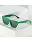 Fashion Green Frame All Gray Pc Cat Eye Large Frame Sunglasses