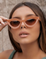 Fashion Sand Black Ash Pc Triangle Cat Eye Large Frame Sunglasses