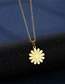 Fashion Gold Titanium Steel Daisy Flower Necklace Stud Earrings Set