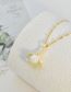 Fashion Gold Titanium Steel Diamond Ginkgo Leaf Mermaid Pearl Necklace