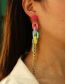 Fashion 19# Plastic Chain Fringe Flower Drop Earrings