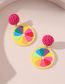 Fashion Color Acrylic Color Pizza Stud Earrings