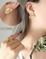 Fashion Silver Titanium Butterfly Stud Earrings