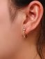 Fashion Large Zircon Rhinestone Small Metal Earrings - Gold Titanium Steel With Zirconium Round Earrings