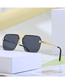 Fashion Greenish Gray Pc Double Bridge Frameless Square Large Frame Sunglasses