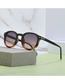 Fashion Transparent Dark Tea Pc Square Large Frame Sunglasses