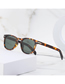 Fashion Polarized Dark Tea Pc Square Large Frame Sunglasses